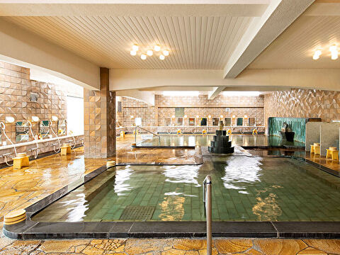 慶山の美肌の湯 花野